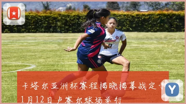 卡塔尔亚洲杯赛程揭晓揭幕战定于1月12日卢赛尔球场举行