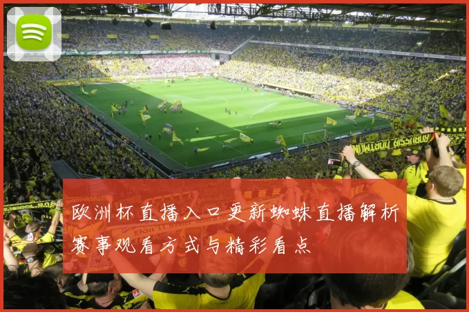 欧洲杯直播入口更新蜘蛛直播解析赛事观看方式与精彩看点