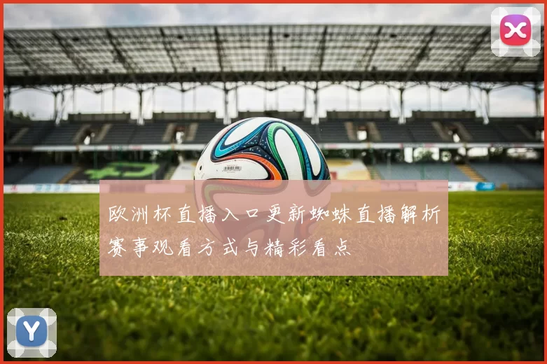 欧洲杯直播入口更新蜘蛛直播解析赛事观看方式与精彩看点